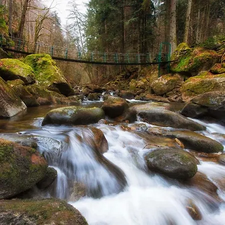Daire Geyersberg Inklusive Aktivcard Bayerischer Wald Freyung